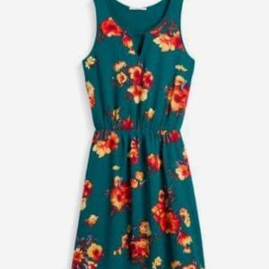 41 hawthorn market and spruce dress new with tag